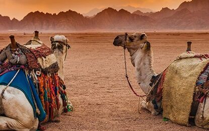 Ankara Çıkışlı Kahire Sharm El Sheikh Turu 6 Gece Kahire Şehir Gezisi Dahil