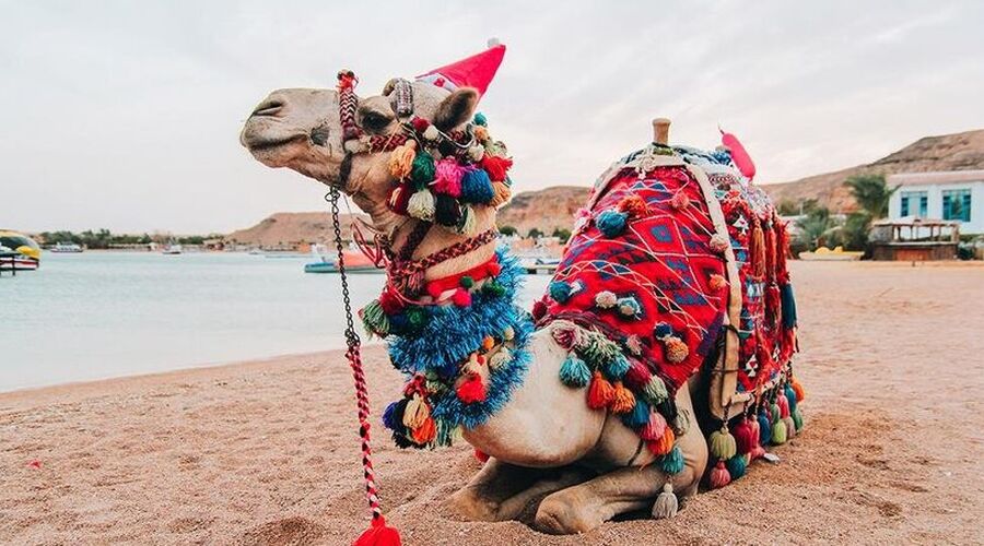 Ankara Çıkışlı Kahire Sharm El Sheikh Turu 3 Gece Kahire Şehir Gezisi Dahil