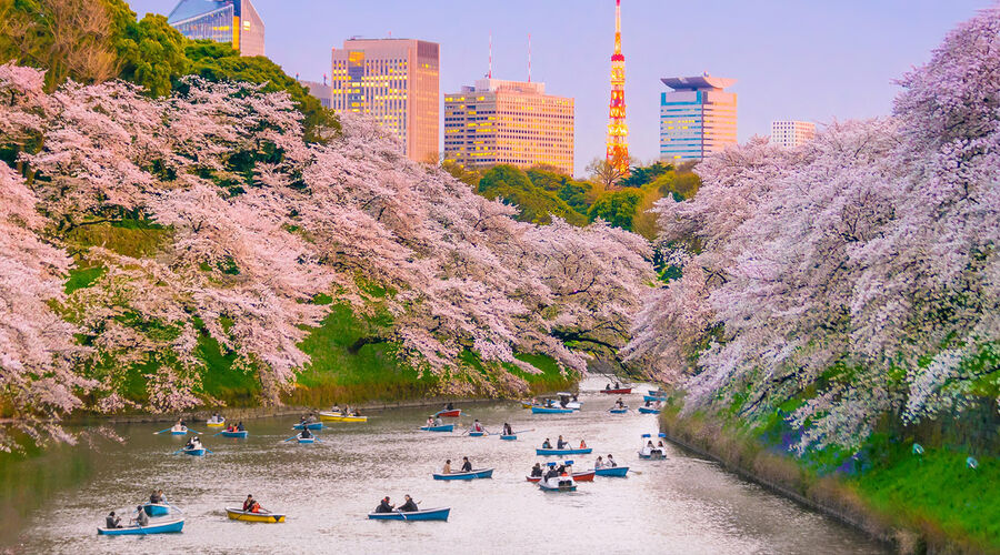 Elegant Japonya & Güney Kore THY ile 9 Gece ( ICN-NRT ) FL001