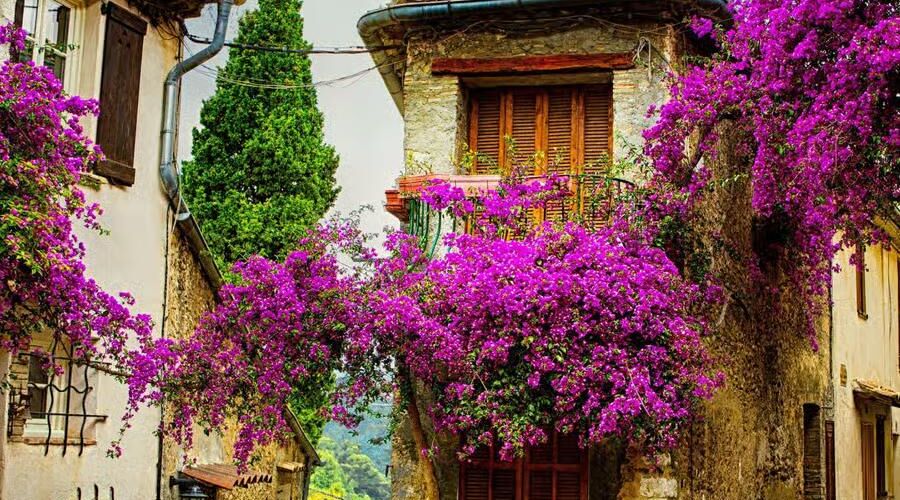 Costa Smeralda İle Tunus'lu Batı Akdeniz & Sicilya Sömestre Dönemi 7 Gece THY - 24 Ocak 2026