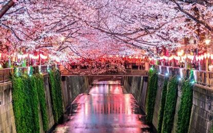 Büyük Japonya Turu All Nippon Havayolları ile 6 Gece (HND-HND) TT001