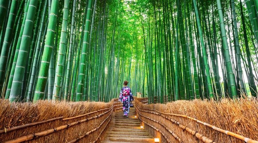 Büyük Japonya Turu All Nippon Havayolları ile 6 Gece (HND-HND) TT001