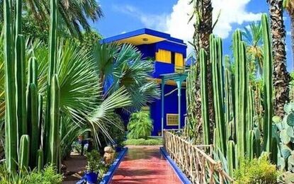 Büyük Sahra Çölü & Masallar Diyarı Fas Turu Türk Havayolları ile 7 Gece (CMN-RAK) FL001 