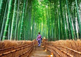 Elegant Japonya & Güney Kore THY ile 9 Gece ( ICN-NRT ) FL001