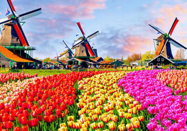 Yılbaşı Özel Görkemli Üçlü Benelüx & Fransa & Almanya Turu Türk Havayolları ile 7 Gece ATS001