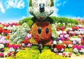 LEGOLAND TURU DAHİL  MUHTEŞEM DUBAİ TURU DUBAİ ŞEHİR TURU VE ABRA GEÇİŞİ DAHİL Emirates Havayolları ile