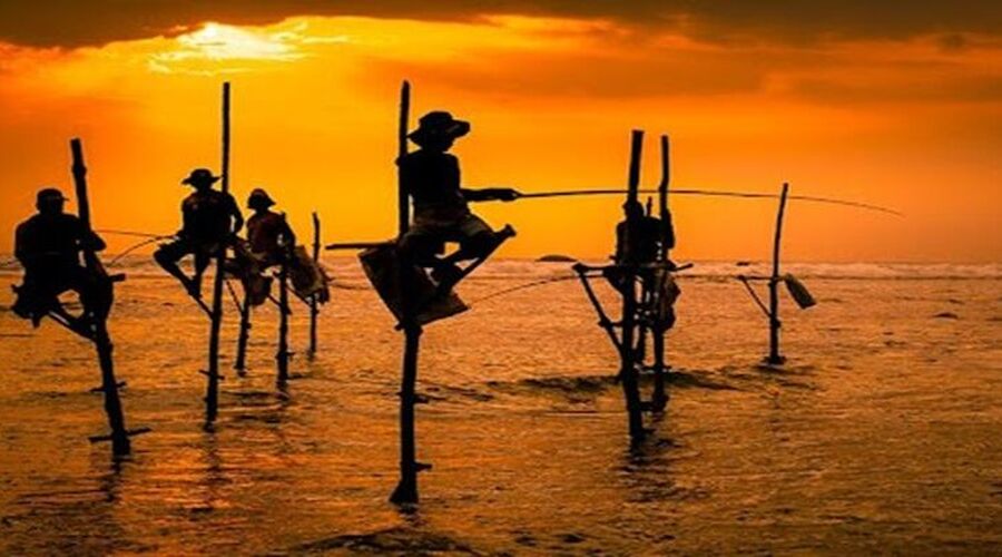 Sri Lanka Turu Türk Havayolları İle 8 Gün EJ001