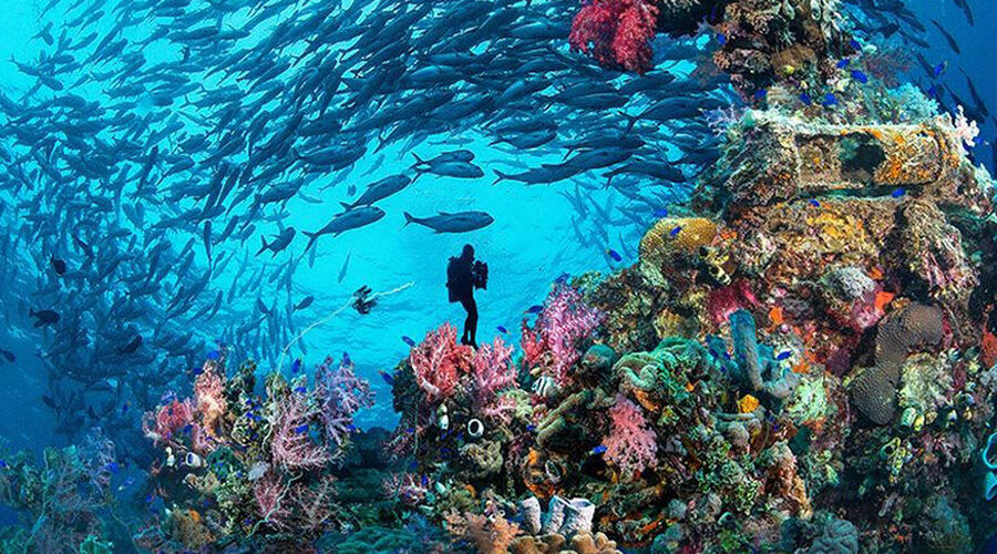 Promosyon Sharm El Sheikh Turu Ajet Havayolları ile 3 Gece Otelden Erken Çıkışlı