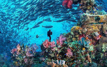 Promosyon Sharm El Sheikh Turu Ajet Havayolları ile 3 Gece Otelden Geç Çıkışlı