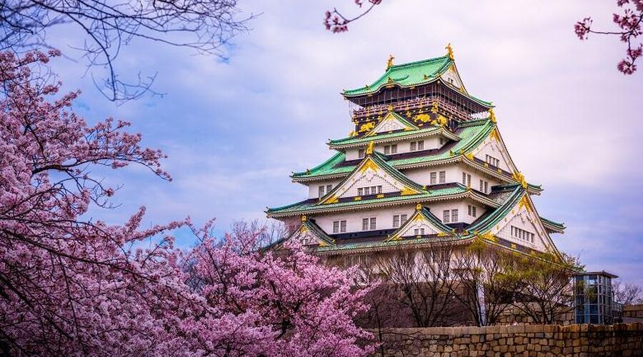 DOLU DOLU DİREKT SEFER İLE JAPONYA TURU