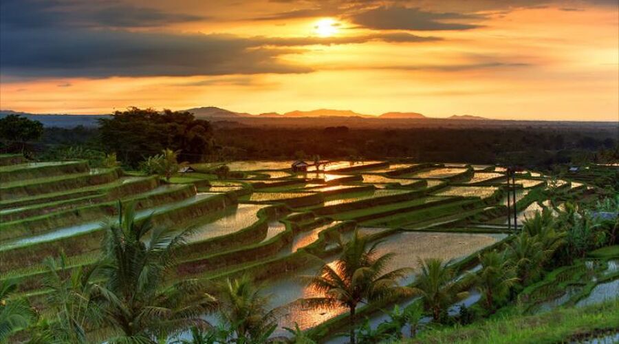 Görkemli Tropikal Ada Bali