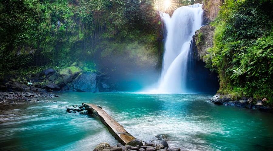 ELEGANT BALİ