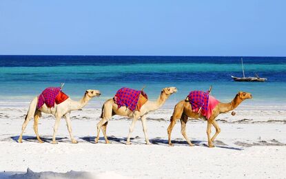 İZMİR'DEN MISIR & NİL NEHRİ FENOMENLERİ VE SHARM TURU SunExpress Havayolları ile 7 gece Gündoğumunda BALON TURU İmkânı ile…