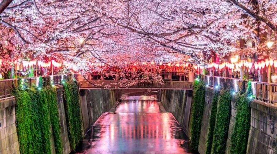 Elegant Japonya All Nippon Hava Yolları ile 6 Gece (HND-HND) FL001