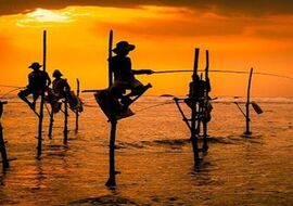 Elegant Sri Lanka Turu Air Arabia Havayolları ile 5 Gece (CMN-CMN) FL001