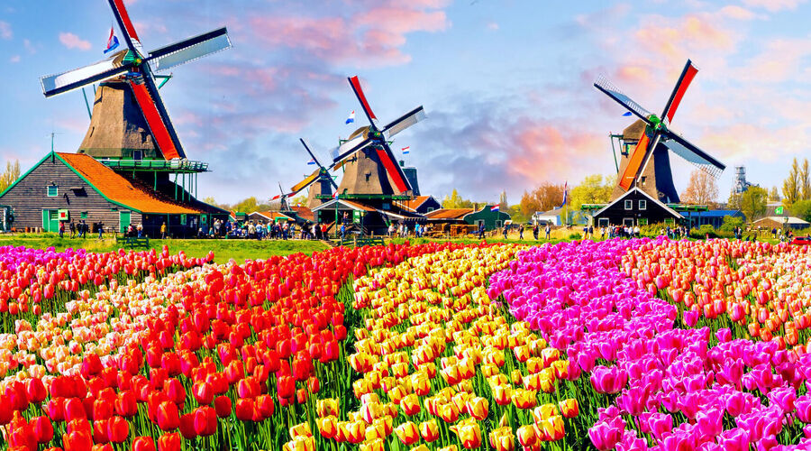 MEGA BENELUX & PARİS & COLMAR & KÖLN TURU Türk Hava Yolları ile 7 gece