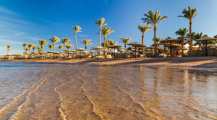 Sharm El Sheikh Turu Ajet ile 4 Gece Transfer Saatine Kadar Otel Kullanımlı Park Regency Sharm Resort