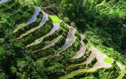 Vizesiz Büyük Filipinler Turu Türk Havayolları ile 11 Gece 13 Gün 2026 EJ001