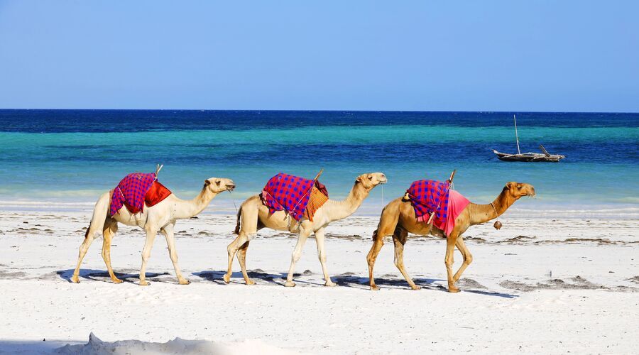 Ankara Çıkışlı Kahire Sharm El Sheikh Turu Ajet Havayolları ile 7 Gece Kahire Şehir Gezisi Dahil