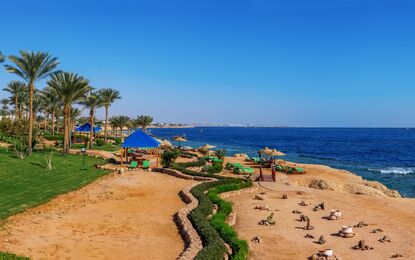 Kahire Sharm El Sheikh Turu Ajet Havayolları ile 7 Gece Kahire Şehir Gezisi Dahil