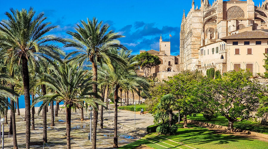 MSC Seaview Balear Adaları & Batı Akdeniz 7 Gece PGS - Mayıs & Eylül & Ekim 2026 FL001