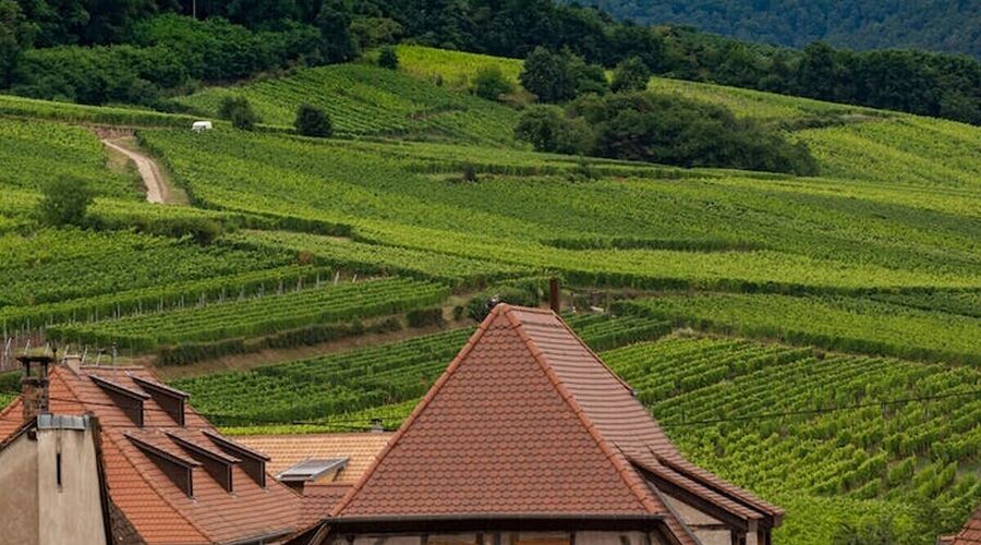 2026 Kış Dönemi Görkemli Rüya Üçgeni İsviçre – Fransa – Almanya Türk Hava Yolları İle  (Basel, Strasbourg ve Freiburg Şehir Turları Dahil)