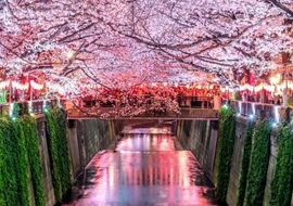 Japonya & Kore Turu Emirates Havayolları ile 11 Gece 13 Gün 2026 EJ001