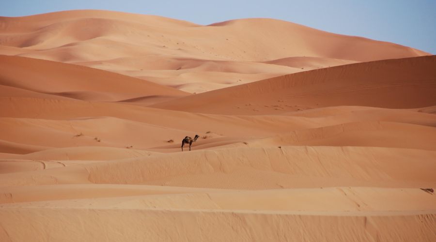 Görkemli Fas Krallığı ve Mistik Şehirler 5 Gece - Air Arabia Hava Yolları ile 25 Nisan Hareket