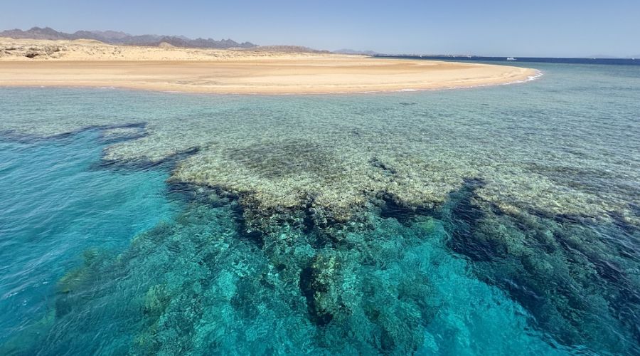 Sharm El Sheikh Turu Kurban Bayramı Özel Türk Havayolları ile 4 Gece Transfer Saatine Kadar Otel Kullanımlı (25-30 Mayıs)