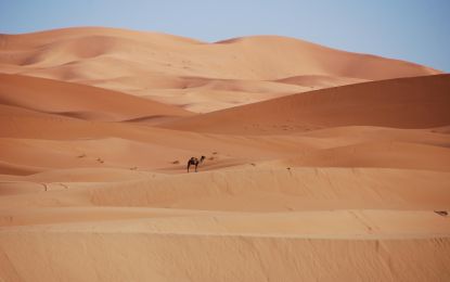 Elegant Sahra Çölü & Tunus Hazineleri Turu Türk Havayolları ile 5 Gece (TUN-TUN) FL001