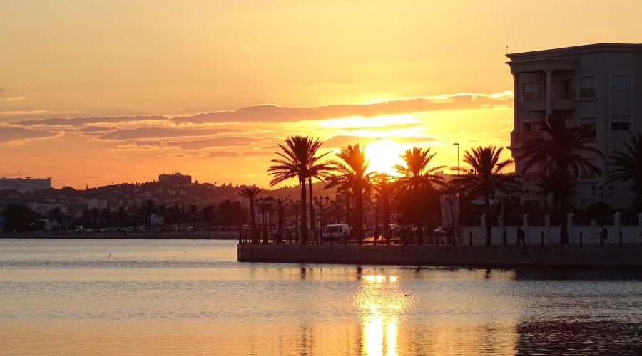 Elegant Sahra Çölü & Tunus Hazineleri Turu Türk Havayolları ile 5 Gece (TUN-TUN) FL001