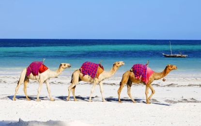 Kahire Sharm El Sheikh Turu Ajet ile 3 Gece 4 Gün Kahire Gider-Sharm Döner (Gidiş-Dönüş Gündüz Uçuşu)