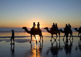 Mega Promosyon Mısır Şaheserleri Turu Pegasus Havayolları ile 5 Gece 6 Gün (İskenderiye Gidiş Hurgada Dönüş) ATL001