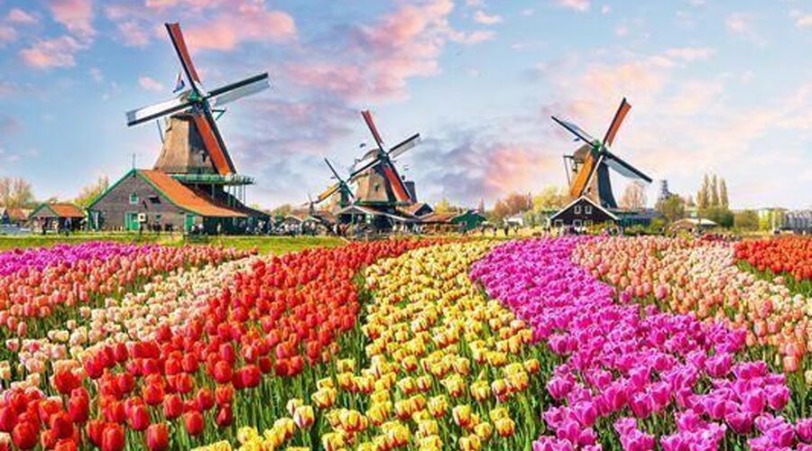 Adana Kalkışlı Mega Benelüx & Paris & Colmar & Köln Turu SunExpress Havayolları ile 6 Gece 7 Gün (DUS-DUS) IS001