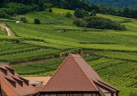 2026 Kış Dönemi Görkemli Rüya Üçgeni İsviçre – Fransa – Almanya Türk Hava Yolları İle  (Basel, Strasbourg ve Freiburg Şehir Turları Dahil)