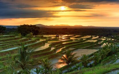 Bangkok - Pattaya - Phuket Turu 6 Gece 8 Gün  BKK-HKT Mahan Havayolları İle