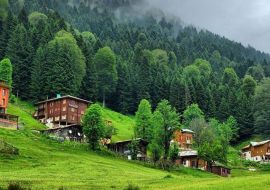 İkonik Karadeniz Yaylaları ve Batum Turu | 4 Gece Konaklamalı Uçaklı İstanbul Çıkışlı