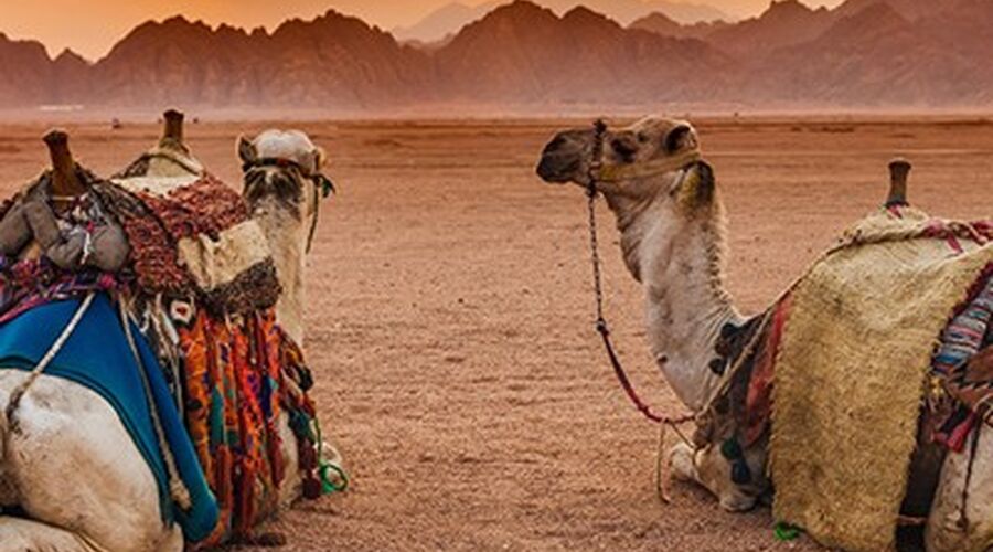 Baştanbaşa Mısır Turu Hurgada Kahire Sharm Ajet Havayolları İle 7 Gece 8 Gün